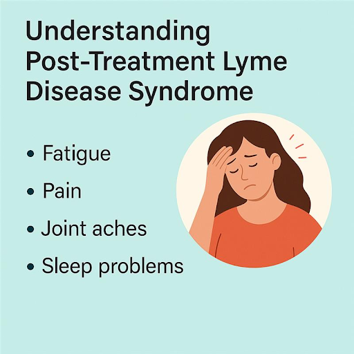 Understanding Post-Treatment Lyme Disease Syndrome (PTLDS)