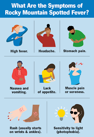 What signs should you look for after a tick bite