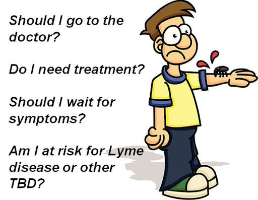 When should I go to the doctor after a tick bite