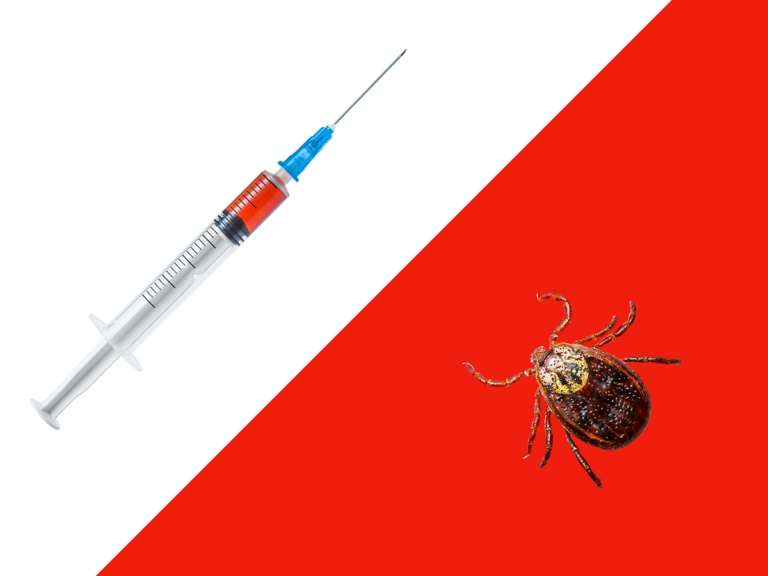 The Role of Vaccines in Lyme Disease Prevention