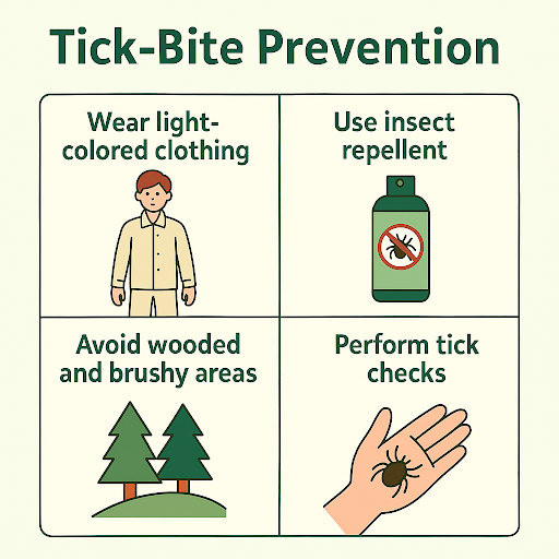 Tick-Bite Prevention: Top Tips and Tools