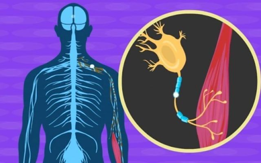 Can Lyme Disease Mimic ALS? Shocking Cases You Should Know About