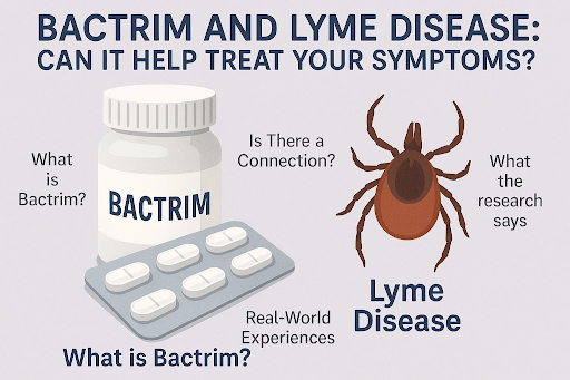Bactrim and Lyme Disease: Can It Help Treat Your Symptoms?