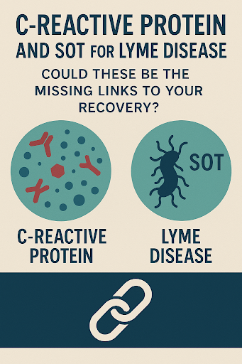 C-Reactive Protein and SOT for Lyme Disease: Could These Be the Missing Links to Your Recovery?