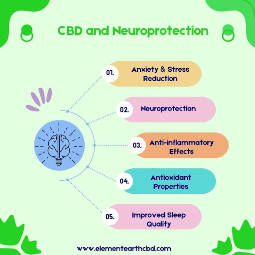 CBD and Lyme Disease: Could This Natural Support Be the Calm Your Body Has Been Craving?