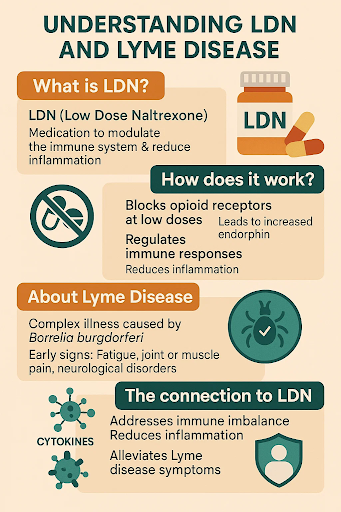 LDN and Lyme Disease: Can Low-Dose Naltrexone Ease Your Journey?