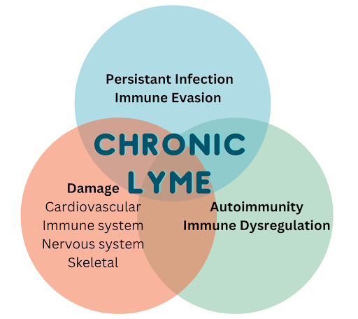 Chronic Lyme Disease