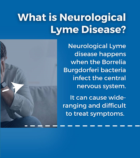 How Lyme Disease Affects the Nervous System?