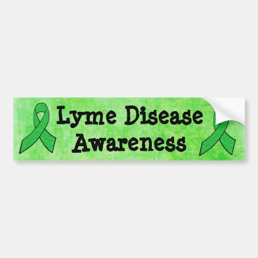 Why Awareness Matters: Lyme Disease Misconceptions