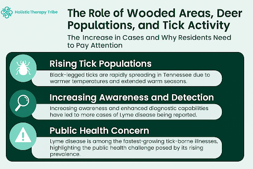 Lyme Disease Statistics in Tennessee