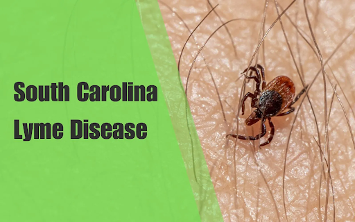 Lyme Disease in South Carolina