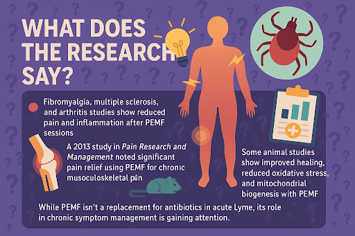 PEMF Therapy for Lyme Disease: Can Energy Healing Be the Relief You’ve Been Searching For?