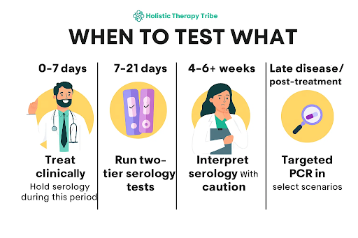 Testing Lyme