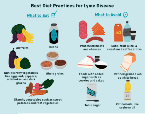 best-diet