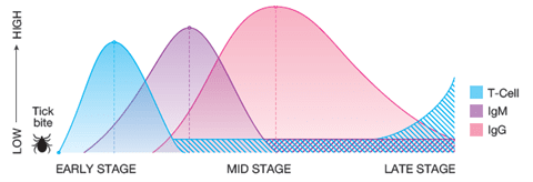 positive-inflammatory-markers