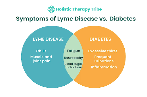 Lyme Disease and Diabetes: Hidden Links You Must Know