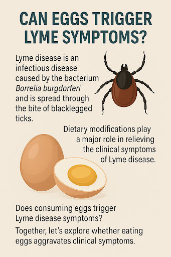 Can Eggs Trigger Lyme Symptoms? Insights from ALDF