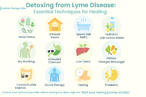 Detoxing from Lyme Disease: What Your Body Needs Most