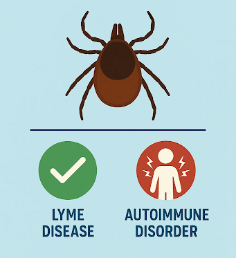 Can Lyme Disease Cause Autoimmune Disorders?