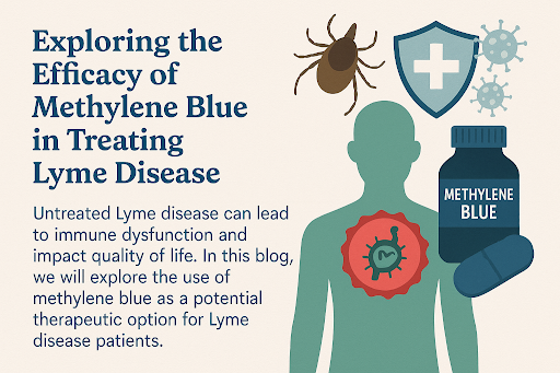 Methylene Blue and Lyme Disease: A Promising Yet Overlooked Connection