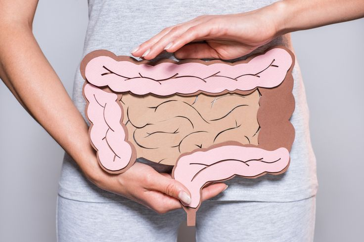 Lyme Disease and GI Symptoms: Is Your Gut Trying to Tell You Something?